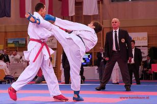 seibukan_Karate1_Premier_League_and_Youth_World Cup_Salzburg_2013_168.jpg