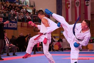 seibukan_Karate1_Premier_League_and_Youth_World Cup_Salzburg_2013_181.jpg