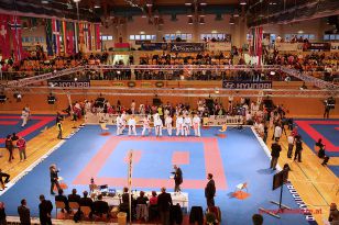 seibukan_Karate1_Premier_League_and_Youth_World Cup_Salzburg_2013_199.jpg