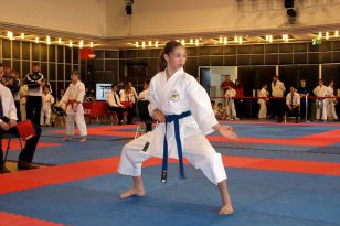 seibukan_Karate_Kids_Cup_Budweis_2014_003.jpg