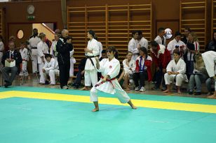 seibukan_Oesterr_Shotokan_Meisterschaft_2009_005.jpg