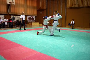 seibukan_Oesterr_Shotokan_Meisterschaft_2009_015.jpg