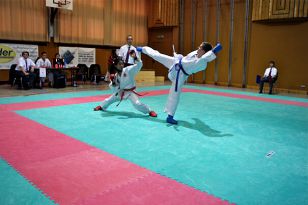 seibukan_Oesterr_Shotokan_Meisterschaft_2009_017.jpg