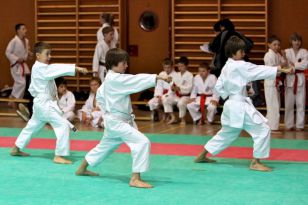 seibukan_Oesterr_Shotokan_Meisterschaft_2011_019.jpg