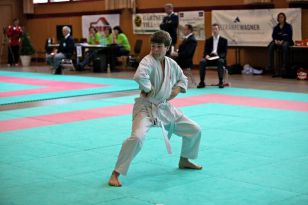 seibukan_Oesterr_Shotokan_Meisterschaft_2011_026.jpg