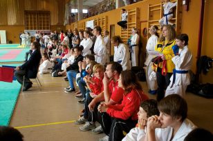 seibukan_Oesterr_Shotokan_Meisterschaft_2011_045.jpg