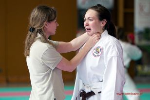 seibukan_Oesterr_Shotokan_Meisterschaft_StGeorgen_2014_105.jpg