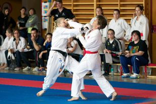 seibukan_Oesterr_Shotokan_Meisterschaft_StGeorgen_2014_137.jpg