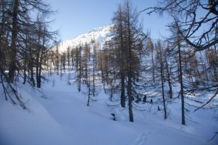 seibukan_Seibukaner_auf_Schneeschuh_Tour_2014_011.jpg