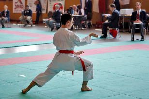 seibukan_Shotokan_Cup_2010_014.jpg