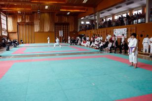 seibukan_Shotokan_Cup_2010_016.jpg