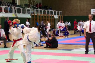 seibukan_Styrian_Open_Fuerstenfeld_2013_034.jpg