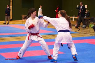 seibukan_Styrian_Open_Fuerstenfeld_2013_053.jpg