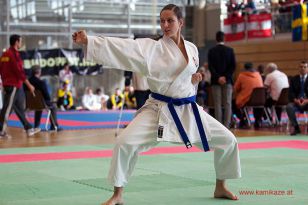 seibukan_WADO_KAI_Europameisterschaft_2012_021.jpg