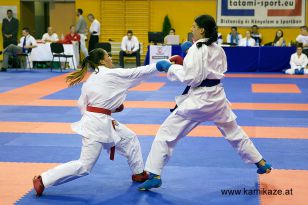 seibukan_Wado_Kai_EM_in_Budapest_2013_063.jpg