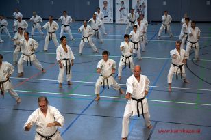 seibukan_3_Int_Karate_Sommercamp_Ravensburg_2015_023.jpg