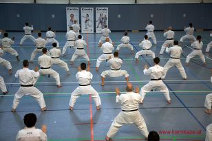 seibukan_3_Int_Karate_Sommercamp_Ravensburg_2015_026.jpg