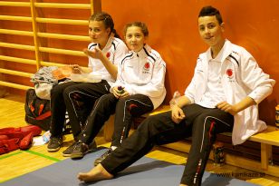 seibukan_Askoe_Bundesmeisterschaft_Kirchdorf_2012_114.jpg