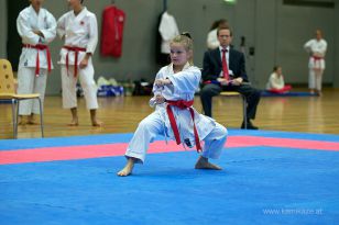 seibukan_Askoe_OOEKarate_Landesmeisterschaft_2013_010.jpg