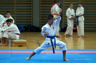 seibukan_Askoe_OOEKarate_Landesmeisterschaft_2013_047.jpg