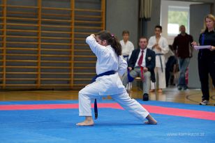 seibukan_Askoe_OOEKarate_Landesmeisterschaft_2013_049.jpg