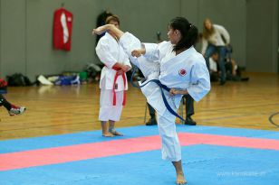 seibukan_Askoe_OOEKarate_Landesmeisterschaft_2013_112.jpg