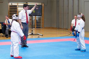 seibukan_Askoe_OOEKarate_Landesmeisterschaft_2013_148.jpg