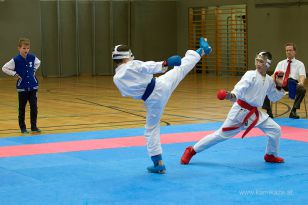 seibukan_Askoe_OOEKarate_Landesmeisterschaft_2013_164.jpg