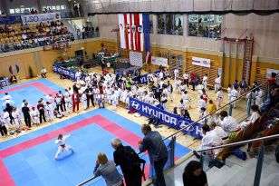 seibukan_Austrian_Junior_Open_2010_052.jpg