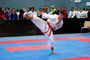 seibukan_Austrian_Karate_Champions_Cup_2010_018.jpg