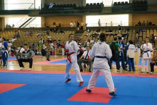 seibukan_Croatien_Open_2010_041.jpg