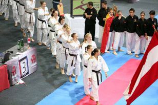 seibukan_ESKA_Shotokan_Europameisterschaft_in_Wels_2009_028.jpg