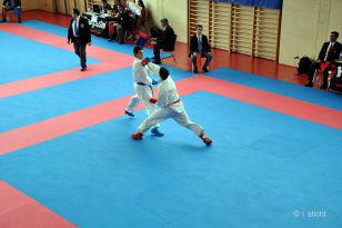 seibukan_Eurocup_Mittersill_2014_021.jpg