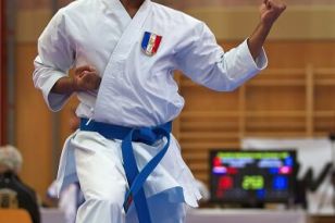 seibukan_Karate1_Premier_League_and_Youth_World Cup_Salzburg_2013_020.jpg