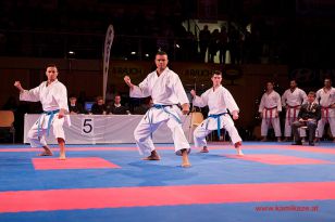 seibukan_Karate1_Premier_League_and_Youth_World Cup_Salzburg_2013_088.jpg