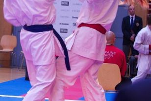 seibukan_Karate1_Premier_League_and_Youth_World Cup_Salzburg_2013_223.jpg