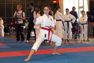 seibukan_Karate_Kids_Cup_Budweis_2014_002.jpg