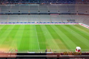 seibukan_Muenchen_Allianz_Arena_2013_012.jpg