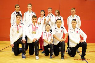 seibukan_Oesterr_Meisterschaft_U12_U21_Wels_2012_062.jpg