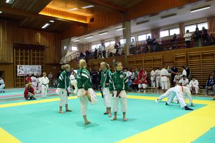 seibukan_Oesterr_Shotokan_Meisterschaft_2009_004.jpg