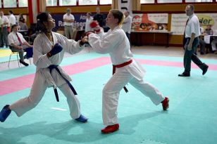 seibukan_Oesterr_Shotokan_Meisterschaft_2009_020.jpg