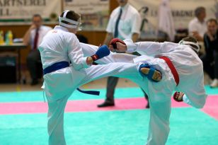 seibukan_Oesterr_Shotokan_Meisterschaft_2011_081.jpg