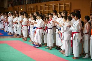 seibukan_Oesterr_Shotokan_Meisterschaft_2013_002.jpg