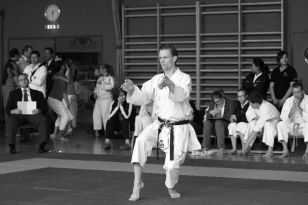 seibukan_Oesterr_Shotokan_Meisterschaft_2013_009.jpg