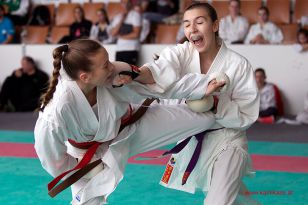 seibukan_Oesterr_Shotokan_Meisterschaft_StGeorgen_2015_110.jpg