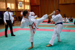 seibukan_Shotokan_Cup_2010_063.jpg