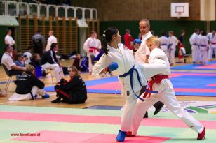 seibukan_Styrian_Open_Fuerstenfeld_2013_035.jpg