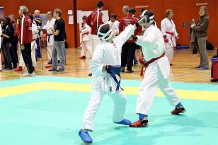 seibukan_VIII_Oesterr_Goju_Ryu_Wado_Ryu_Meisterschaft_2010_036.jpg