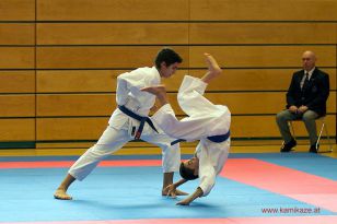 seibukan_WADO_KAI_Europameisterschaft_2012_050.jpg