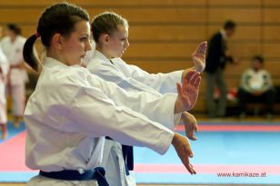 seibukan_WADO_KAI_Europameisterschaft_2012_061.jpg